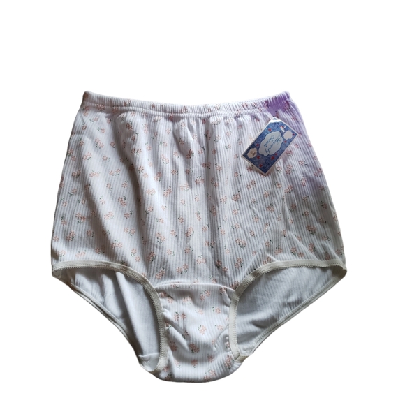 VTG Heavenly Secrets Panties Briefs Sz 10 - Picture 1 of 7